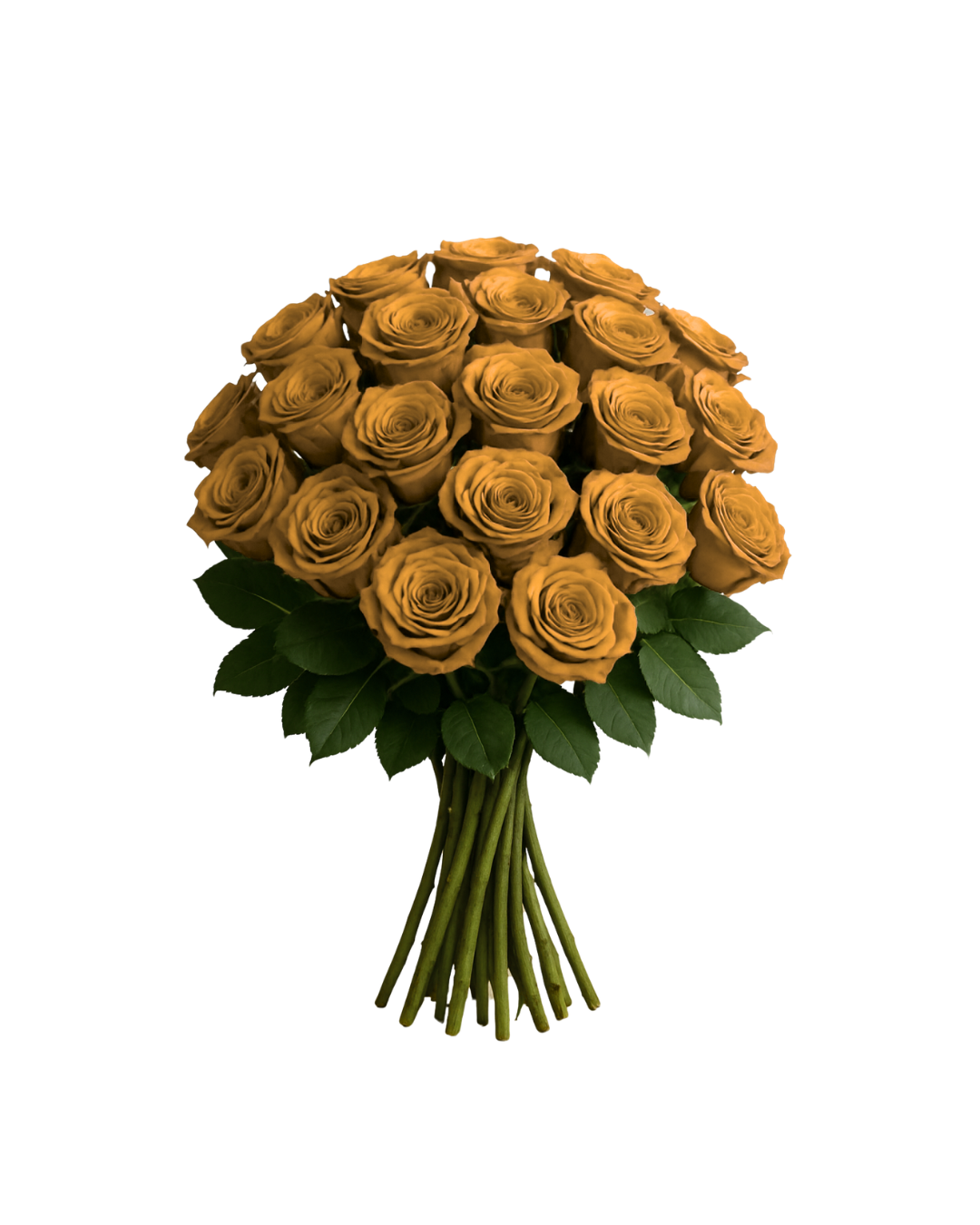24 Rose Bouquet
